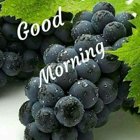 IMG 20180630 055935 169