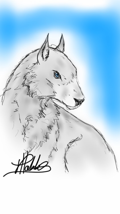 sketch1461368296803