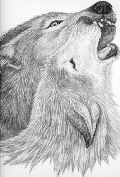 Alpha Love