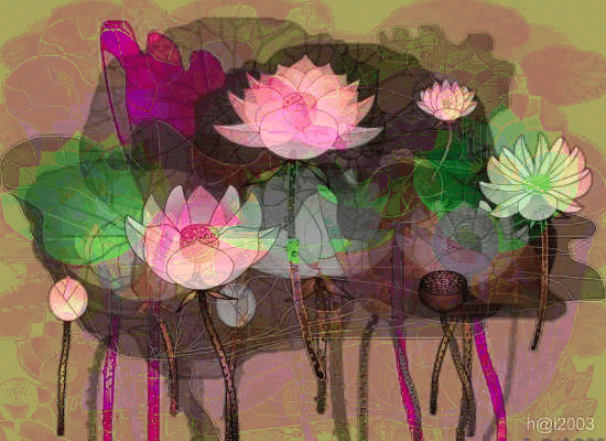 Lotus@rt4
