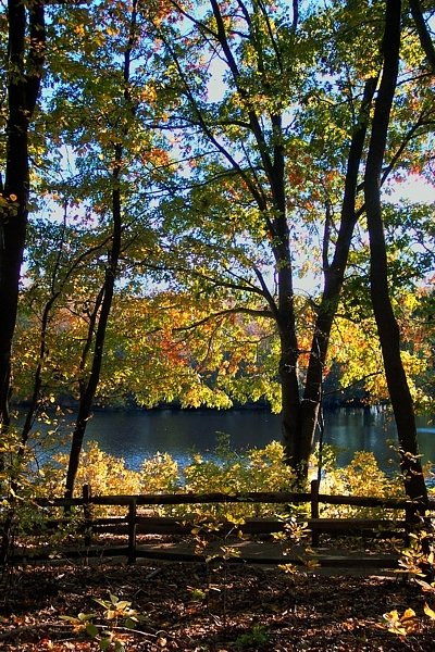 Autumn Path