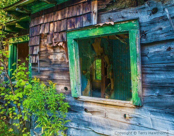 Window of the Soul