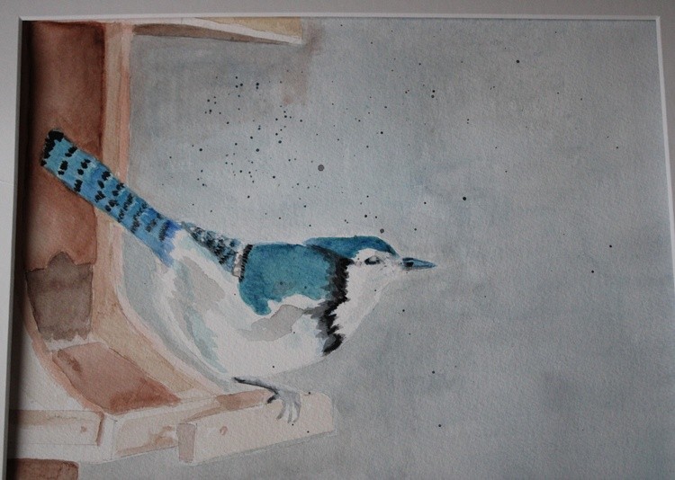 BlueJay