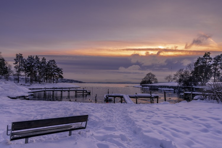 Frozen Landscape