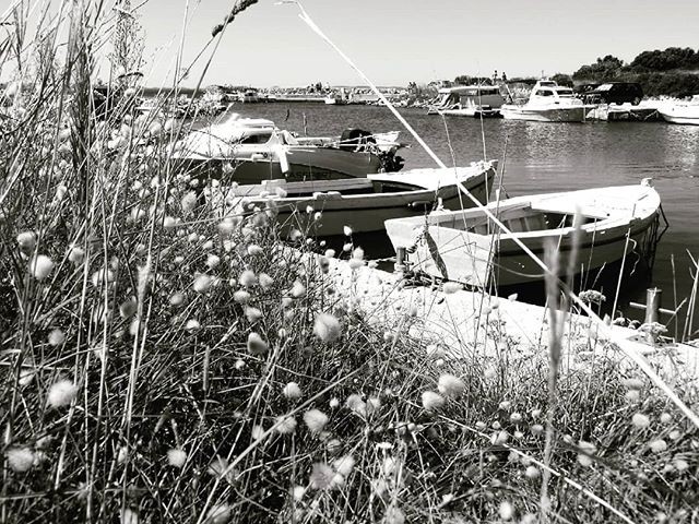 Tiny boats on a tiny beachphotographer photography bw bwphotography summer coast croatia nature srpl