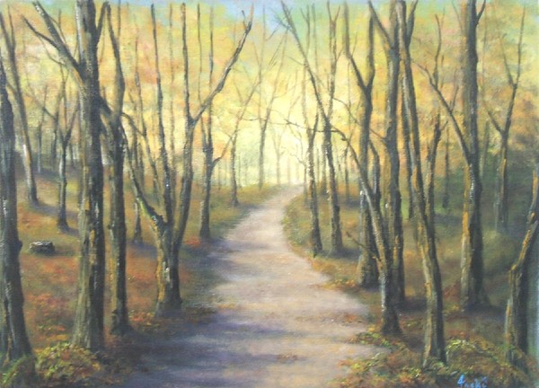 Woodland Path