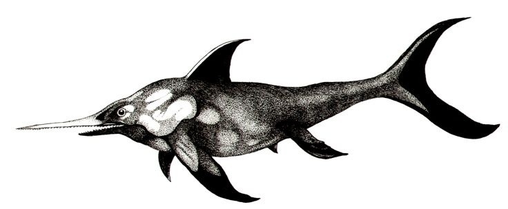Ichthyosaurus