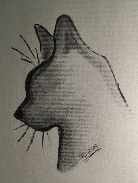 Shadow Cat 1