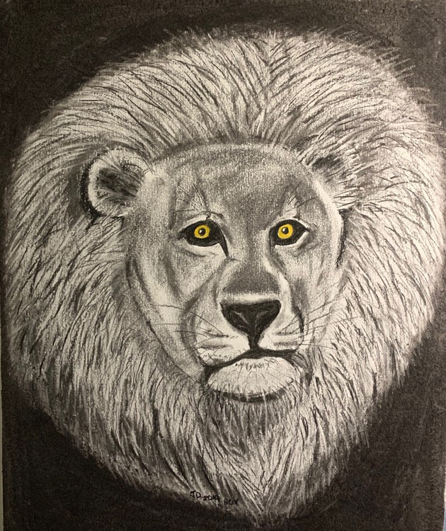 Char Lion 5