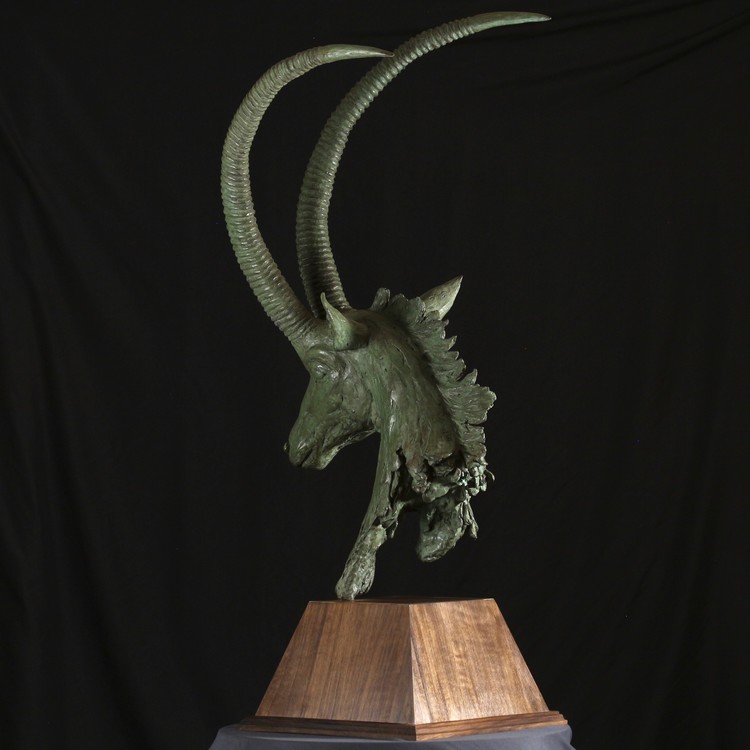 SABLE ANTELOPE BUST