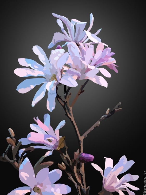 A garden bush