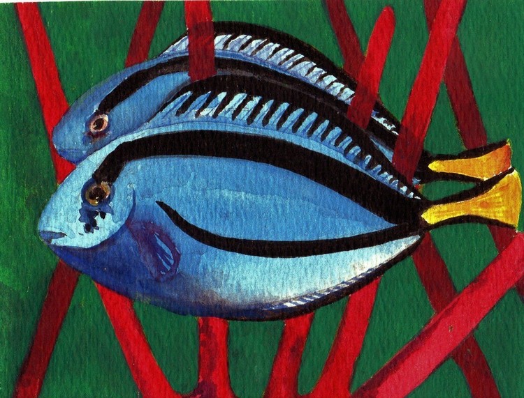 blue strip fish