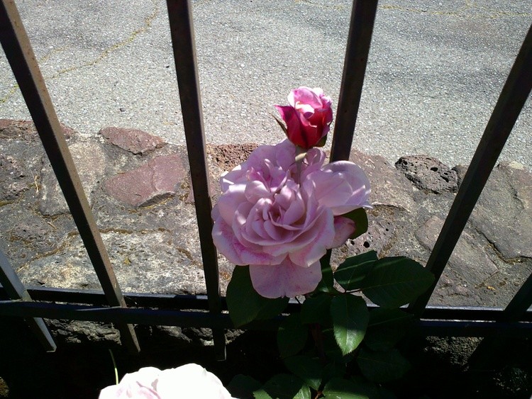 DSCF0057