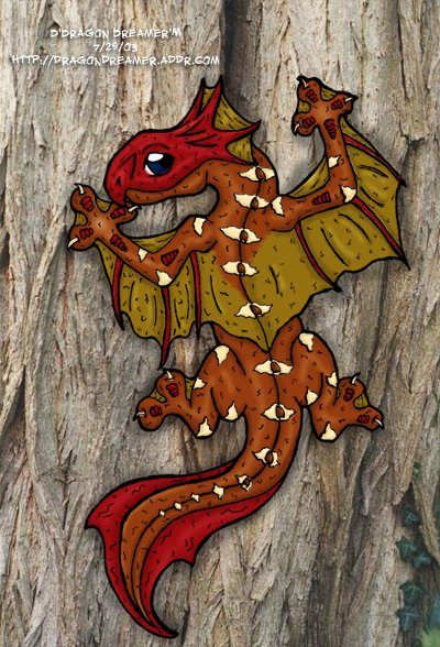 Lizard Dragon
