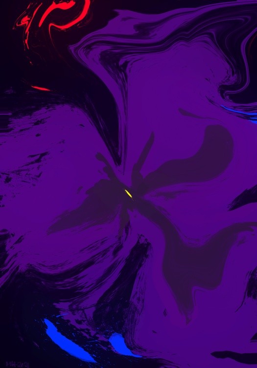 Orchid