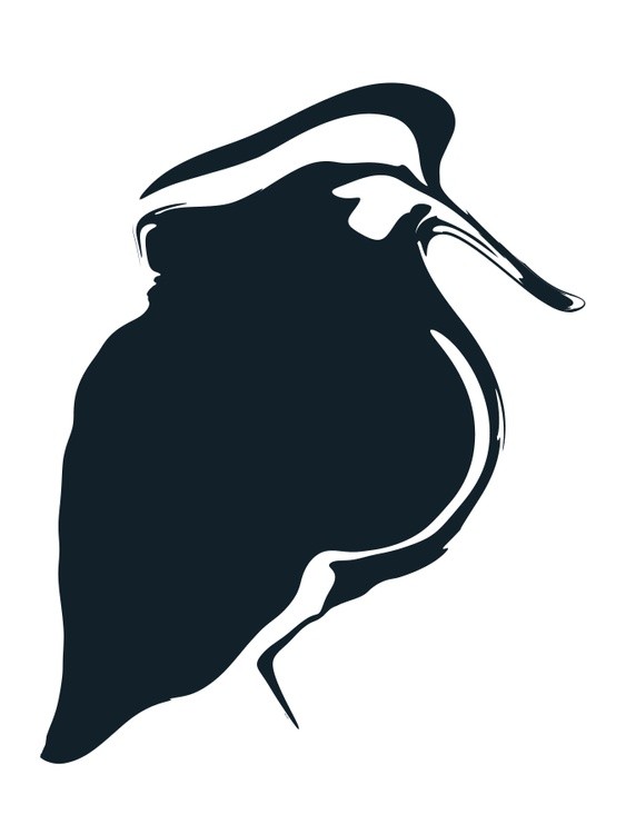 Crested Caracara