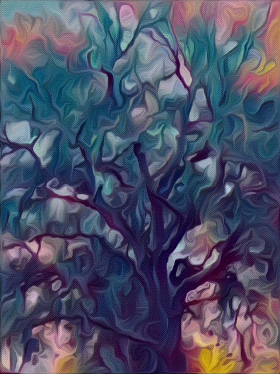 The Old Oak Tree