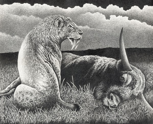 The Kill