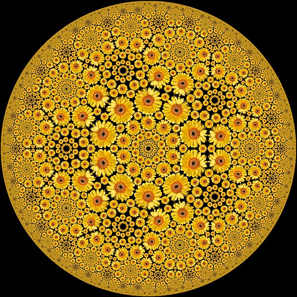 Variation to Flower Poincare'