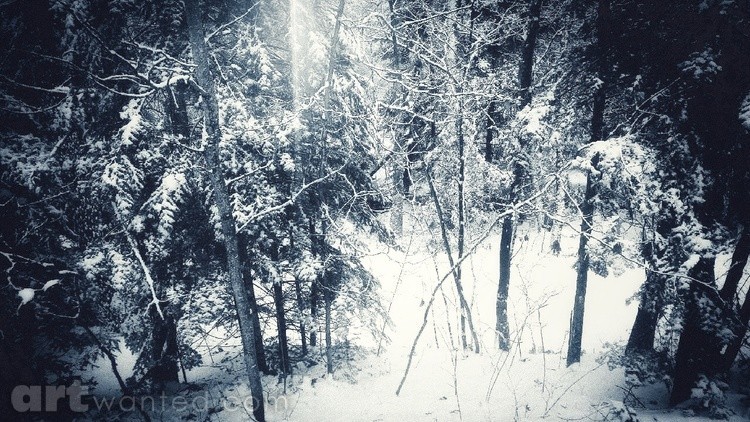 Northwoods winter