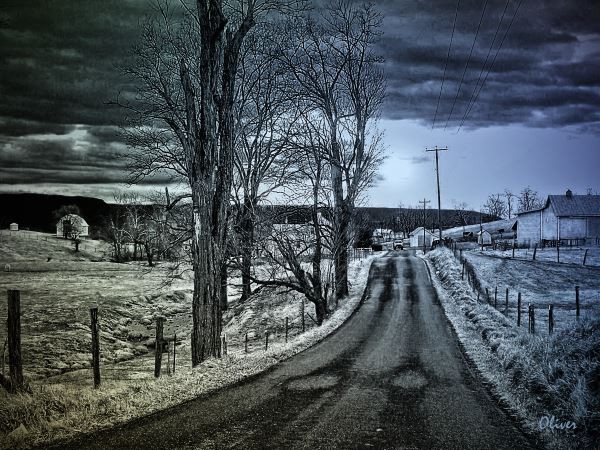 Winter Greys