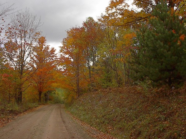 Pennsylvania's Autumn