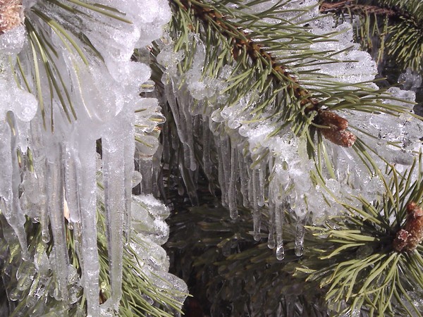 Ice Revisited