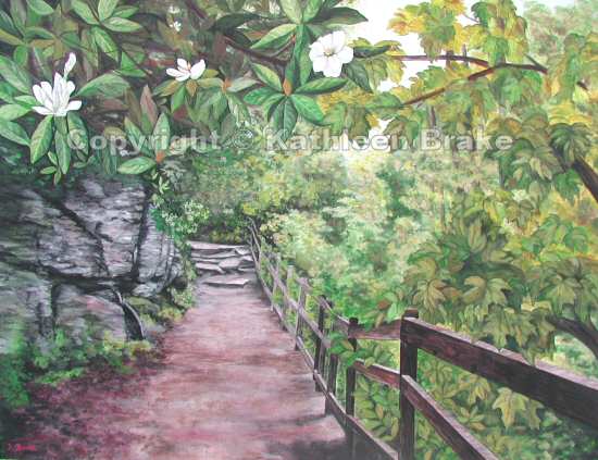 Linville Falls Path