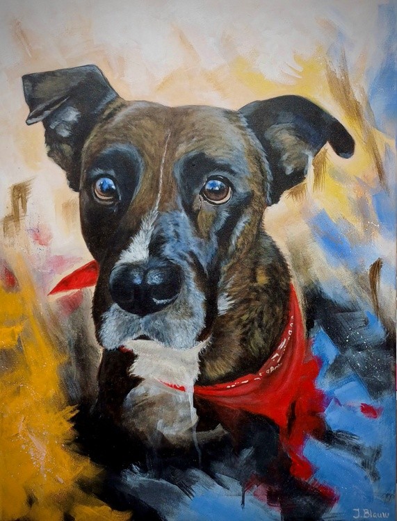 Shepherd