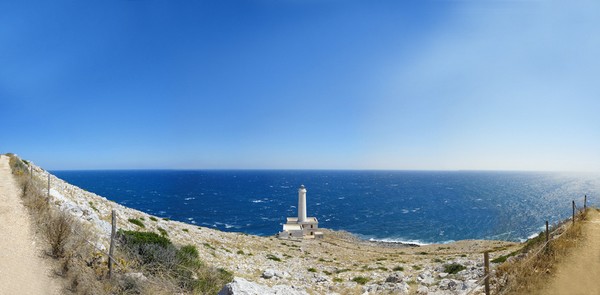 Faro