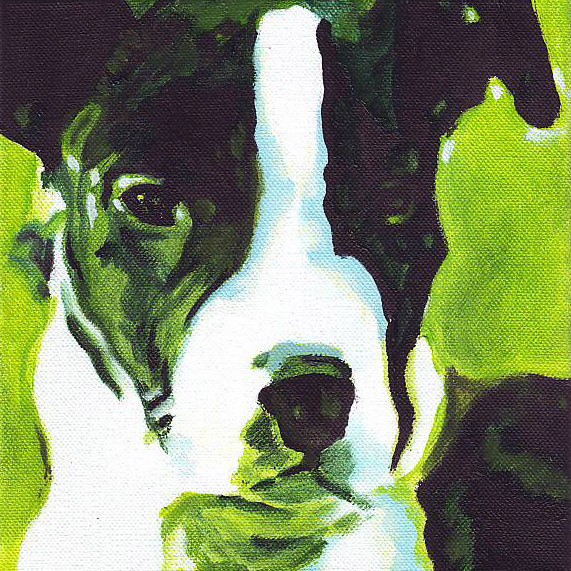 D257 puppy