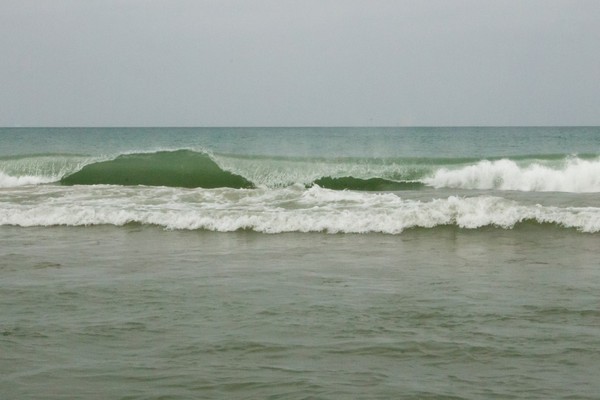 Waves