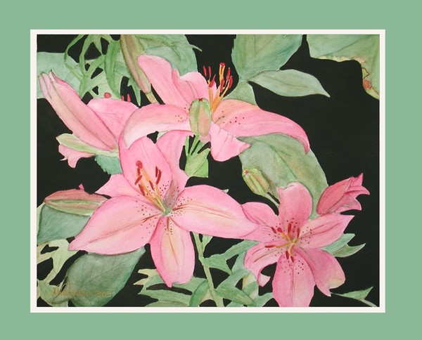 Glorious Lillies