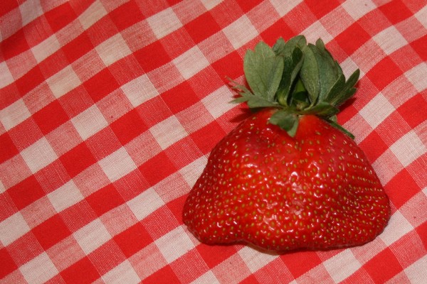 Strange Strawberry