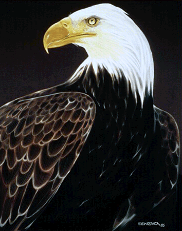 America