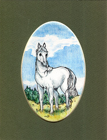 Yet Another White Horse