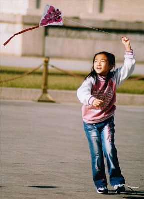 The kite flyer