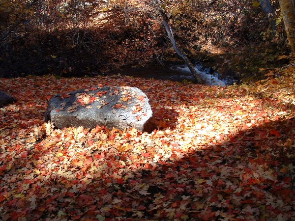 The Solitude of a Fall Afternoon