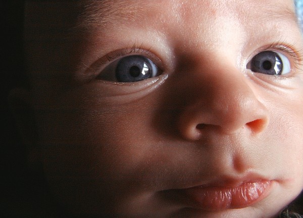 kiss the baby