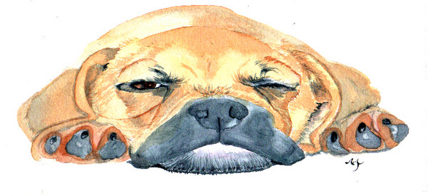 Puggle