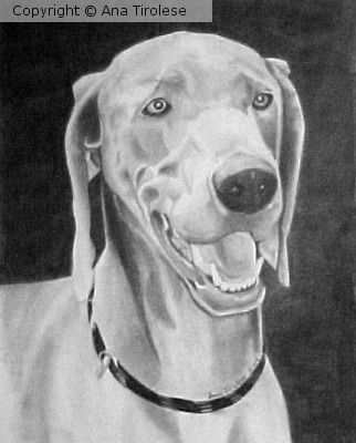 Baxter