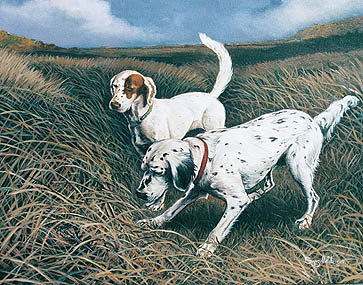 Setters