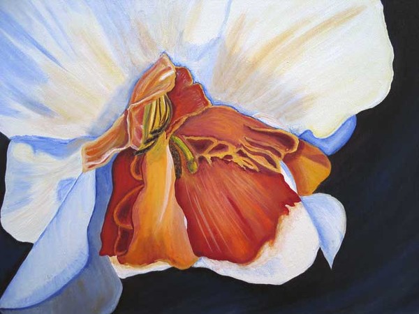 Daffodil