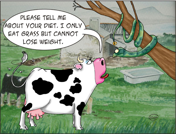 Diet