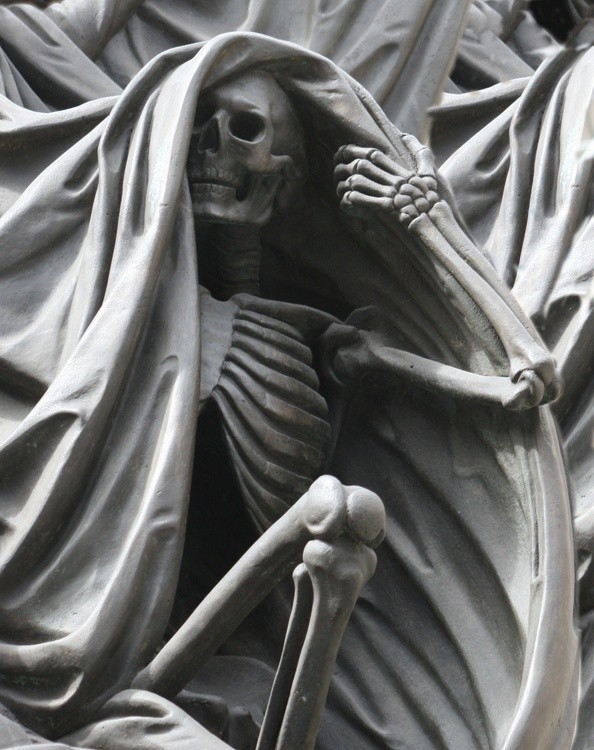 Skell Covers