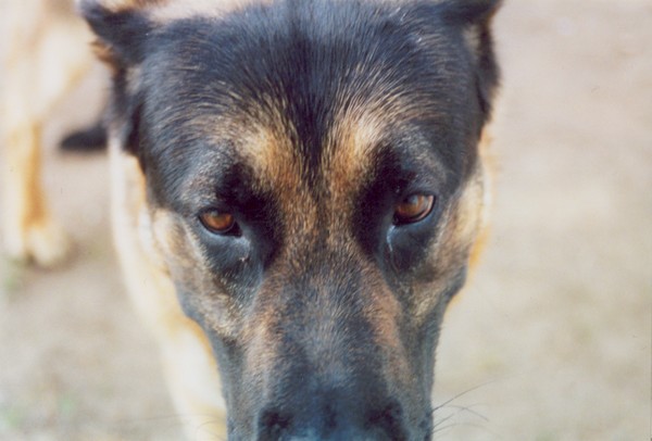 The Eyes Have It