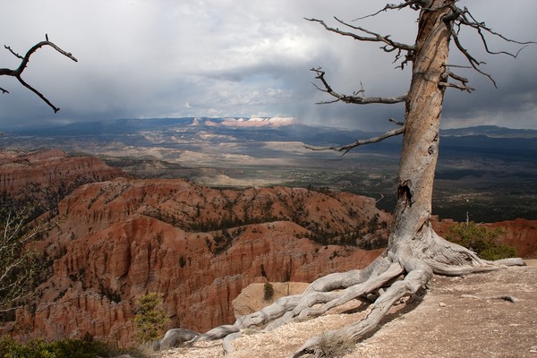 Rain over Bryce Canyon