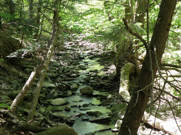Stream I