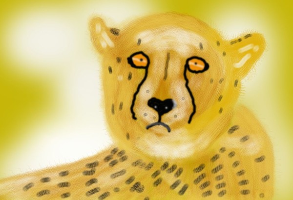 O420 Cheeta