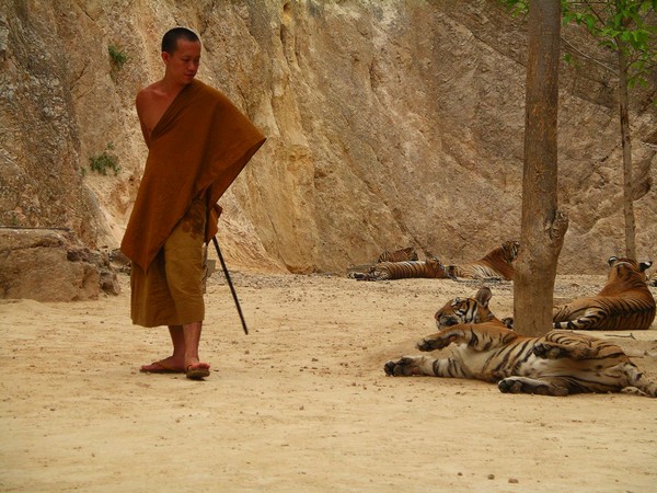 Tiger Monastery - Thailand